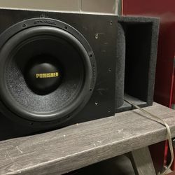 12” Punisher Subwoofer 