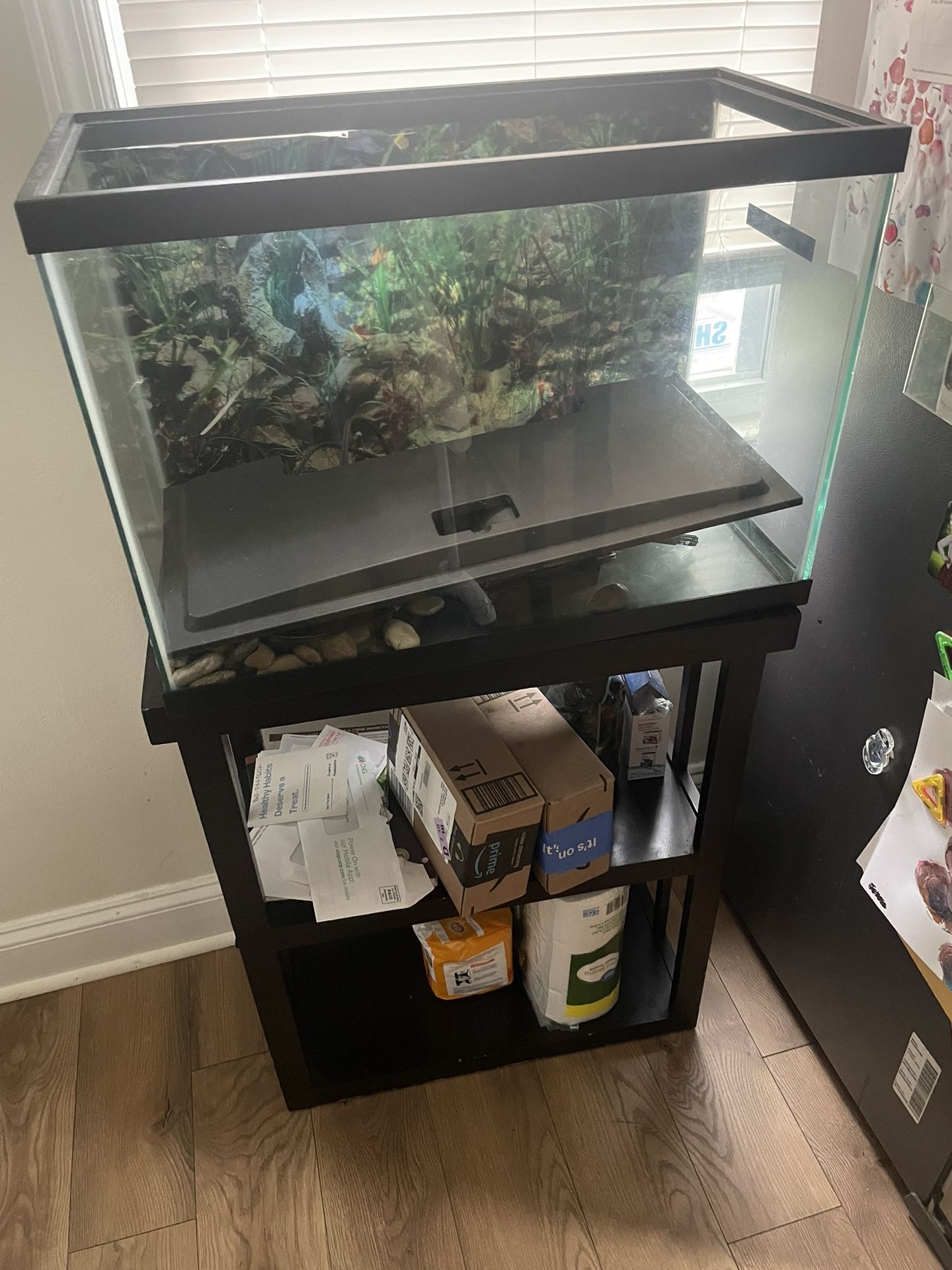 Fish Tank And Stand 