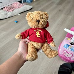 Teddy Bear 🧸 