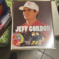 Jeff Gordon 