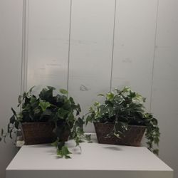 Fake Plant In Good Conditions 