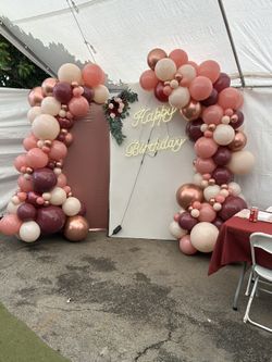 Backdrop $450 All Theme