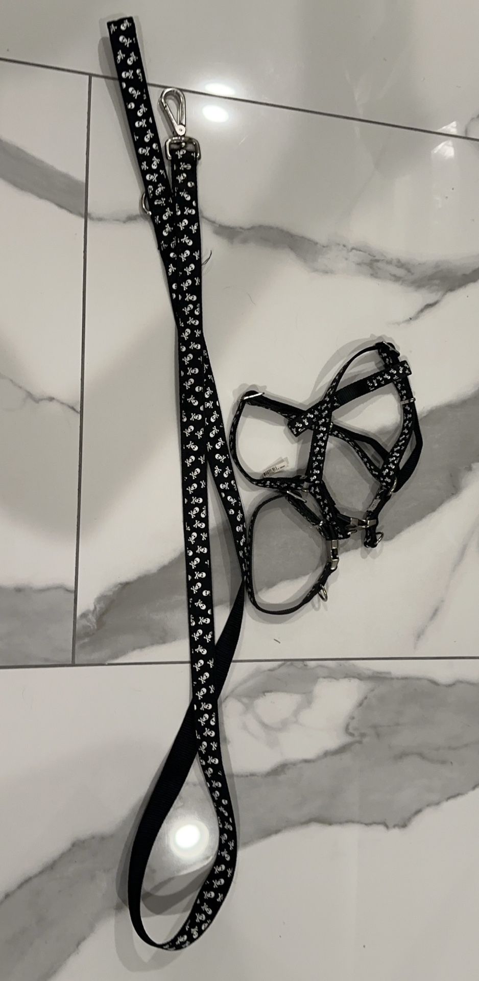 Dog Harness And Leash (SET)