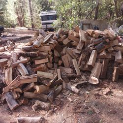 Seasoned Oak Firewood Cords 