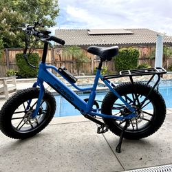 Pedego Element Electric bikes (2) 