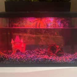 Fish Tank With  Essentials 