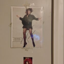 Tina Turner 