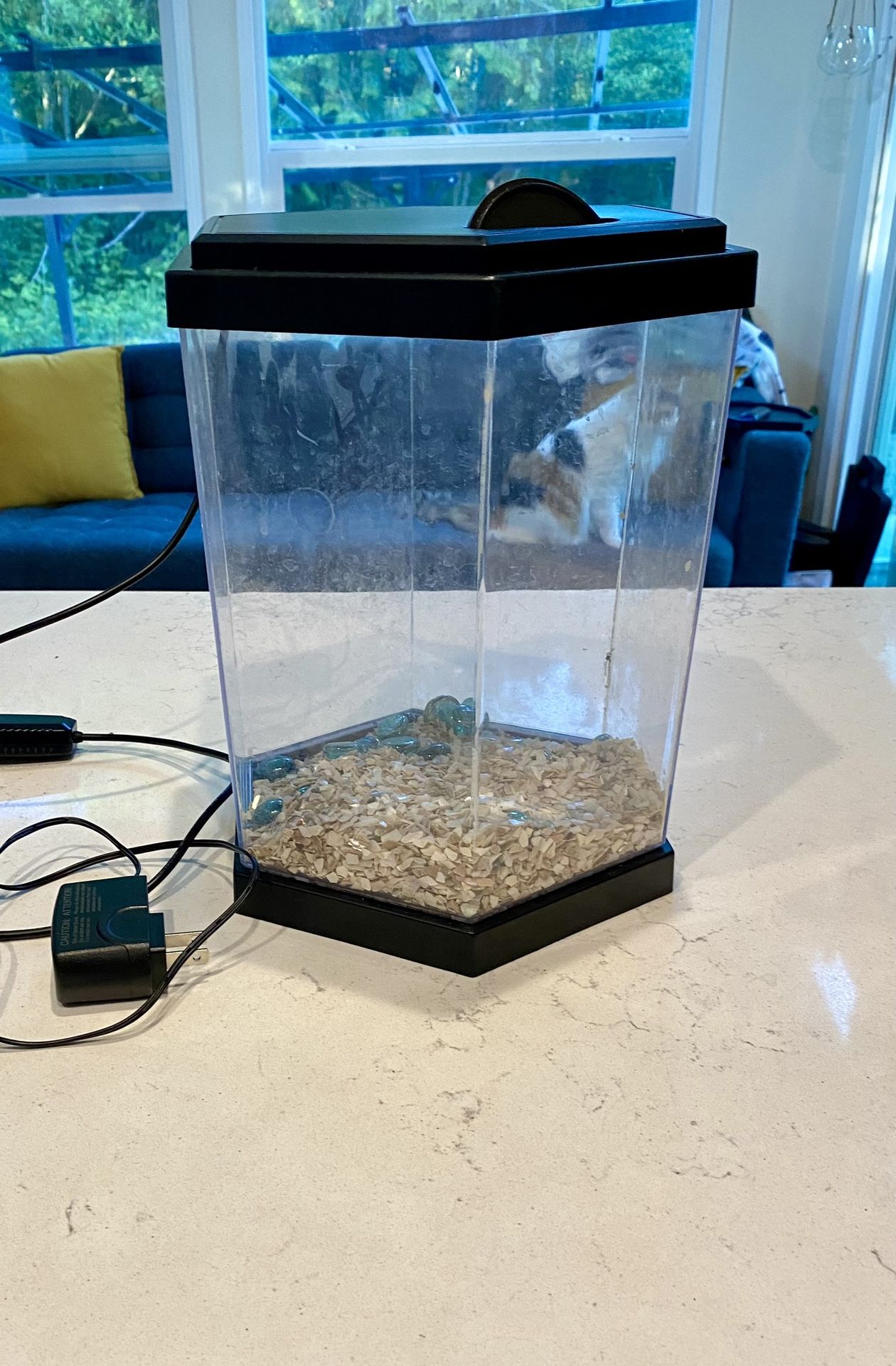 Fish tank