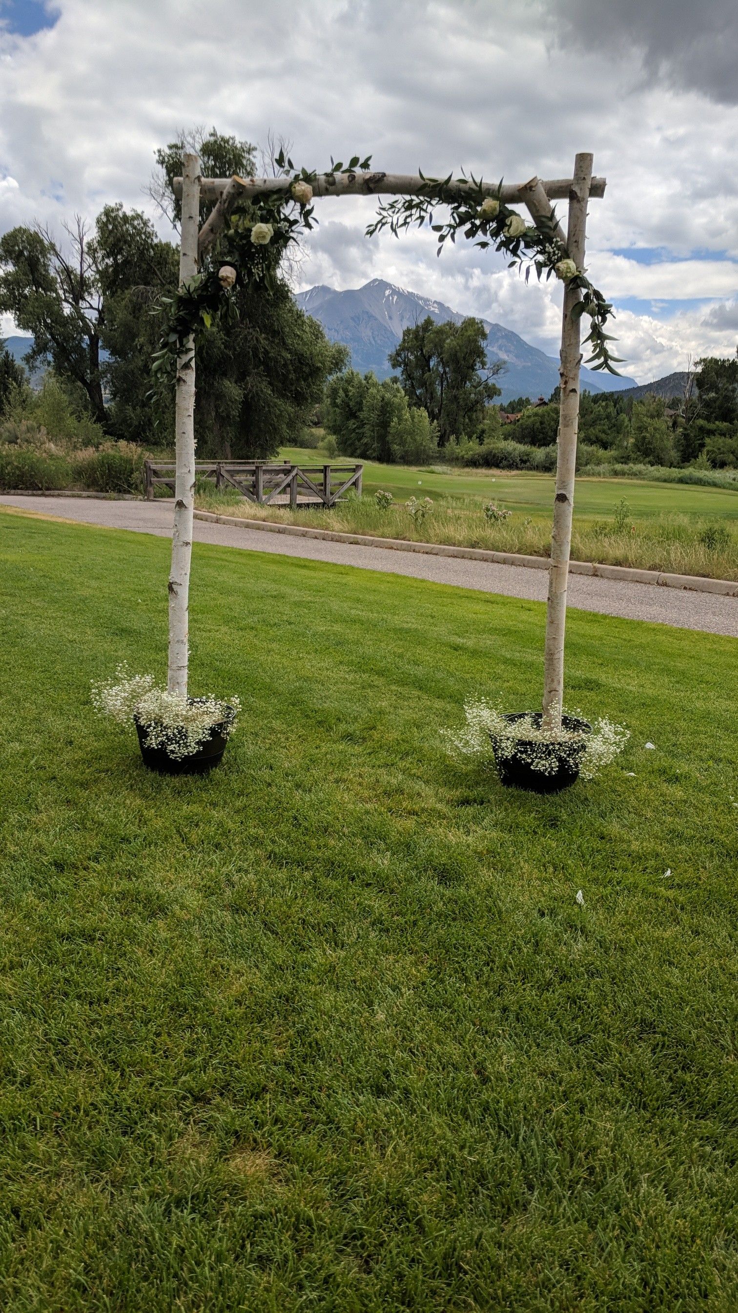 Birch Wood Wedding Arch