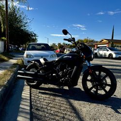 24 Indian Scout Bobber rogue Midnight Edition 