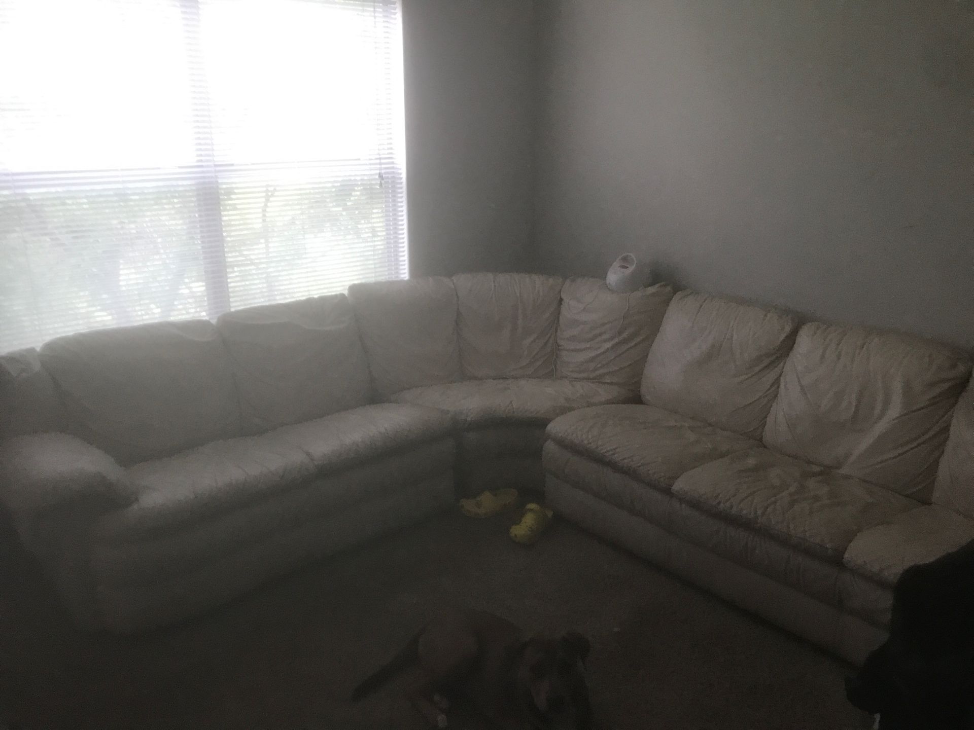 White genuine leather couches