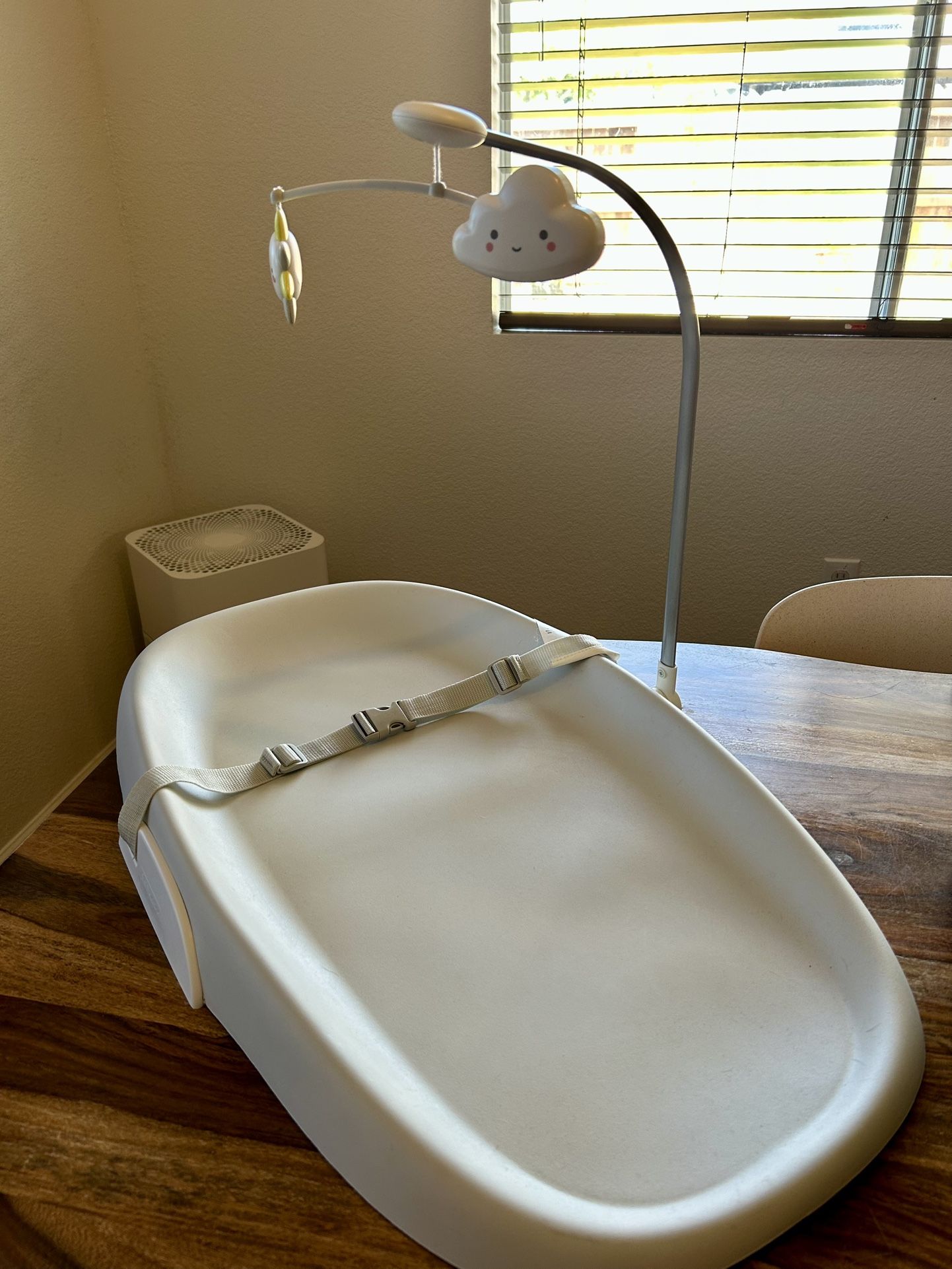 Skip Hop Changing Pad