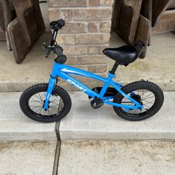 Little Kid Bike