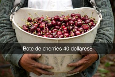 Cherries
