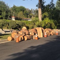  Free Logs/firewood 