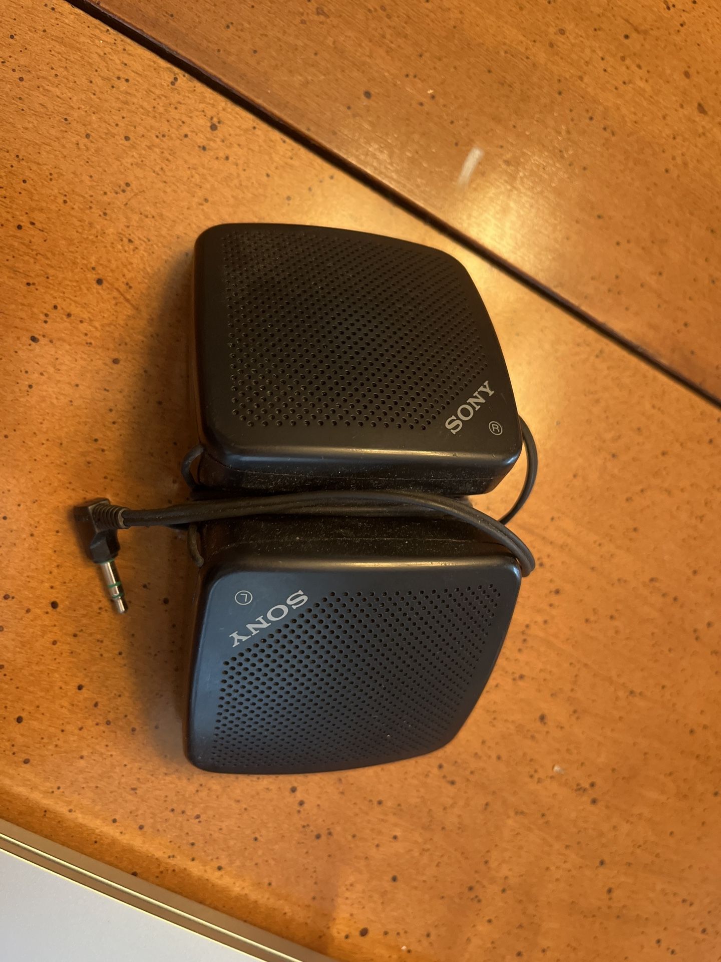 Sony Portable Speakers