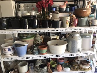 Plant pots plants and yard art