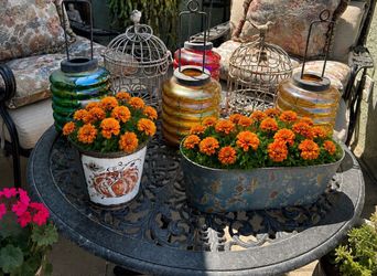 Yard Art