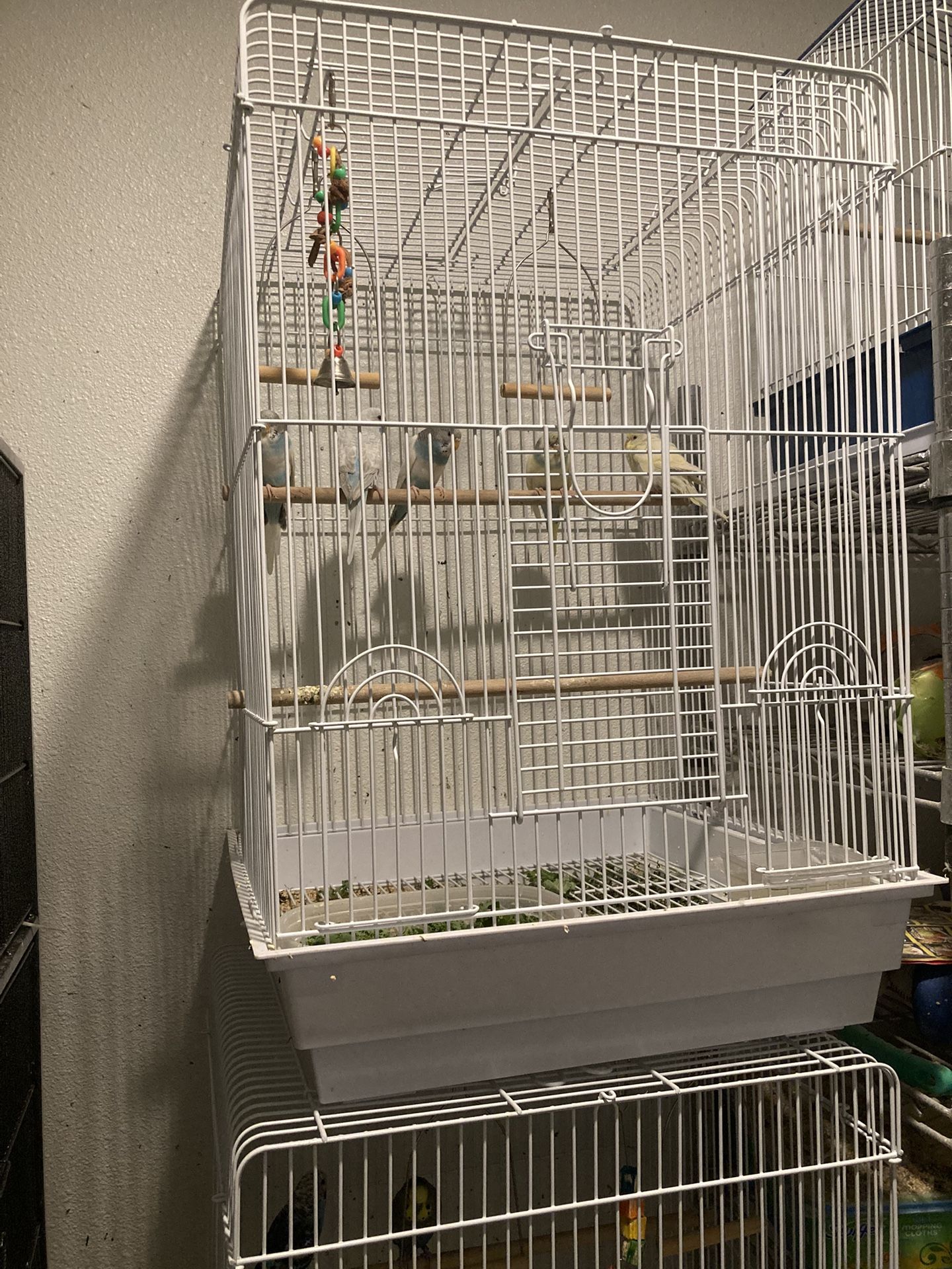 Cage Bird