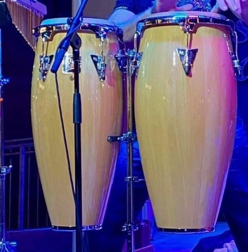 LP Congas With stand 