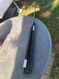 Gas Strut Shocks