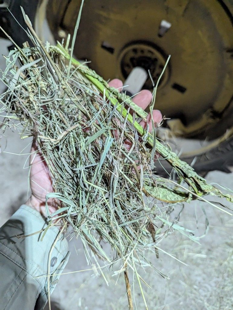 2025 First Cutting Hay