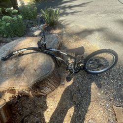 Ride Along Bike