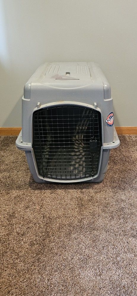 Large Dog Kennel