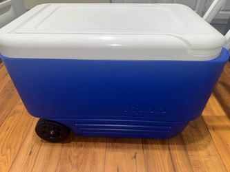 Igloo Cooler / Hielera Cooler