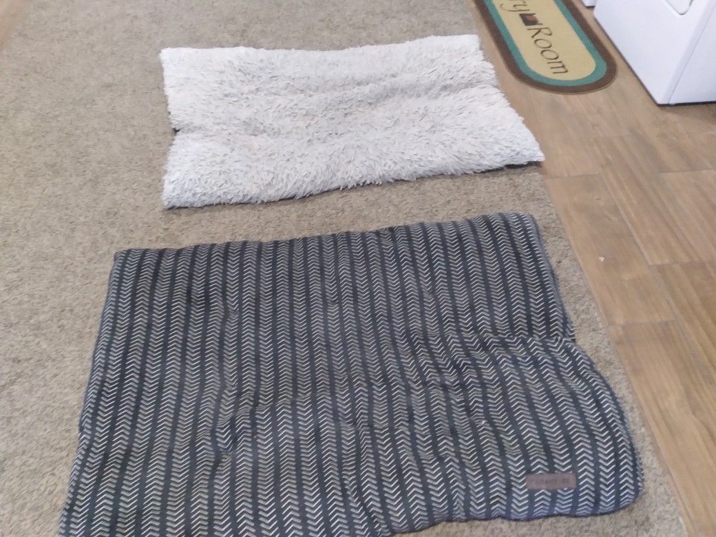 Free To Large Dog Beds In Good Condition No Rips Or Stains 