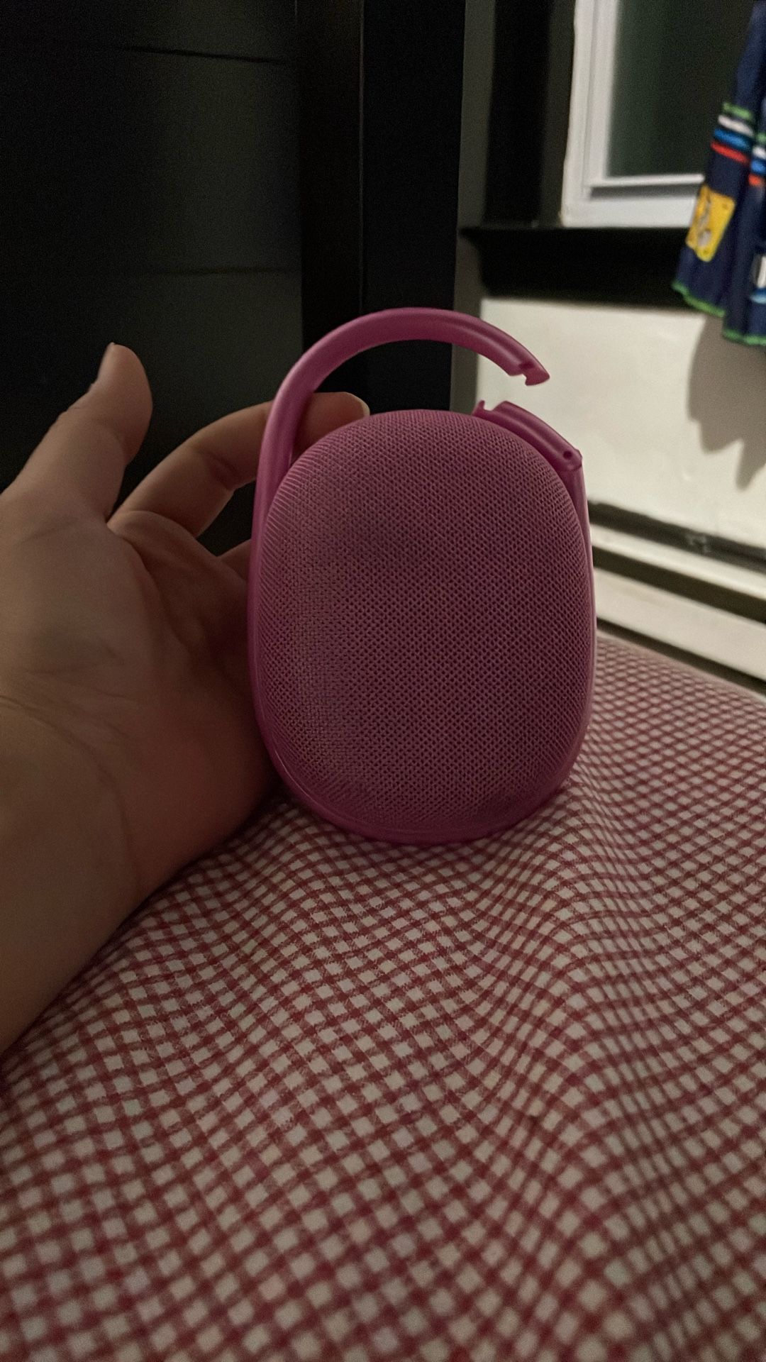 Speaker