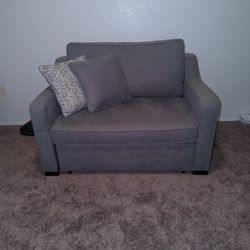 Bob's Loveseat Pullout 