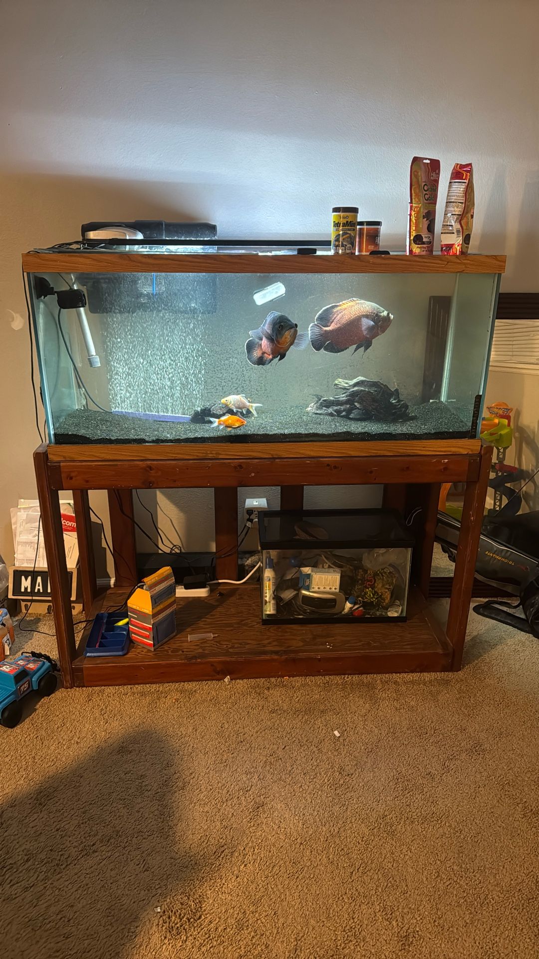 Aquarium And Stand Everything 