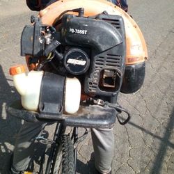 Echo Leaf Blower