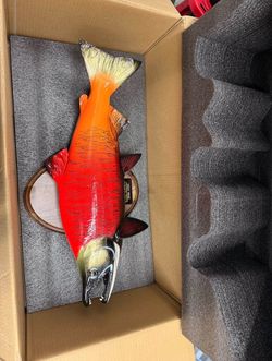 Decorative Salmon Wall Plaques / Trophy Fish Décor