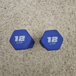 12Lbs. Dumbbell Set