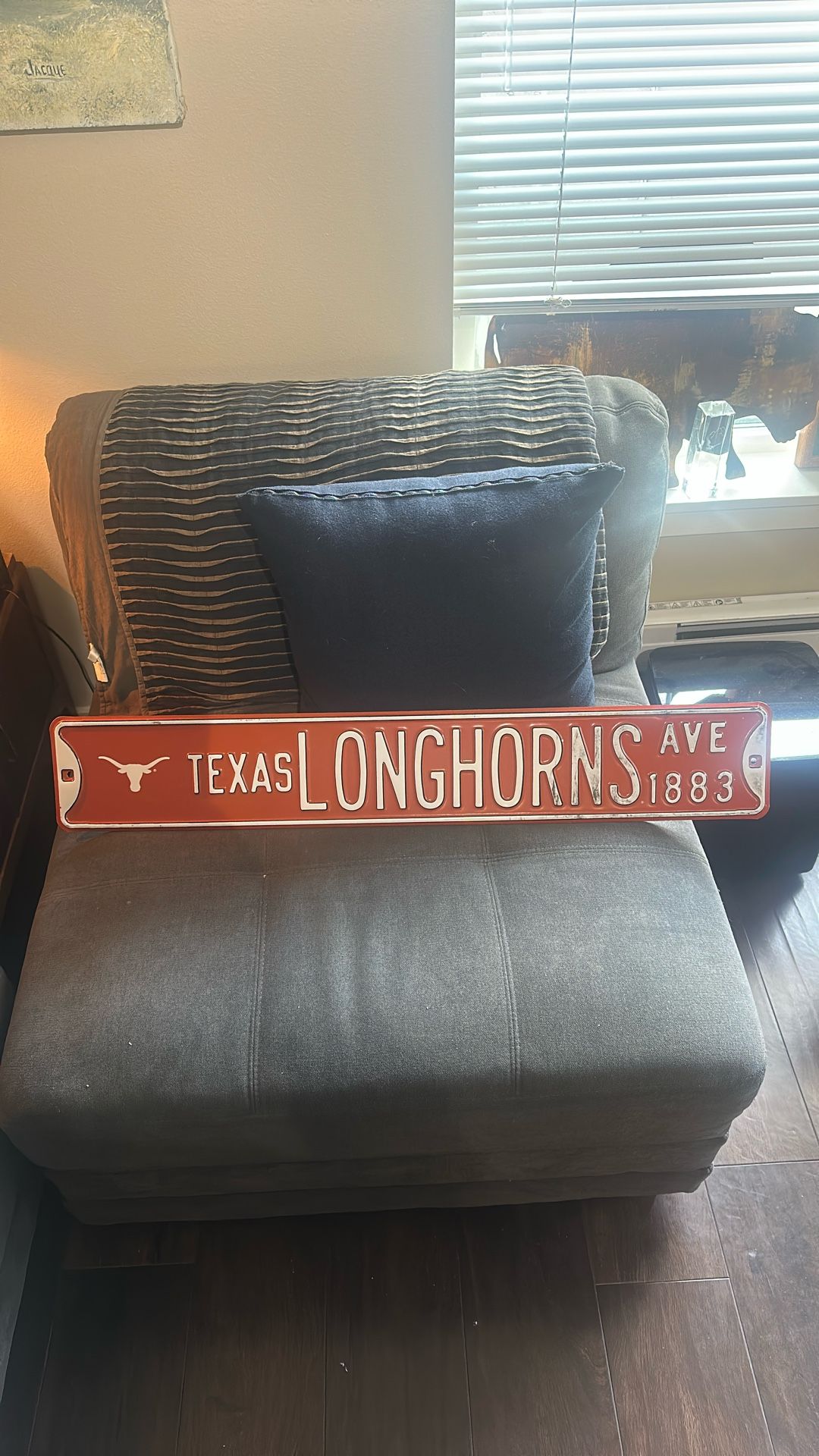 Texas Longhorns Sign