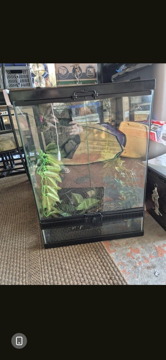 Reptile Terrarium