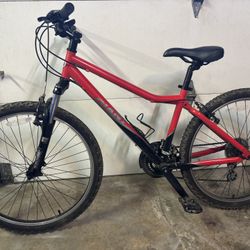 Giant Boulder 26”