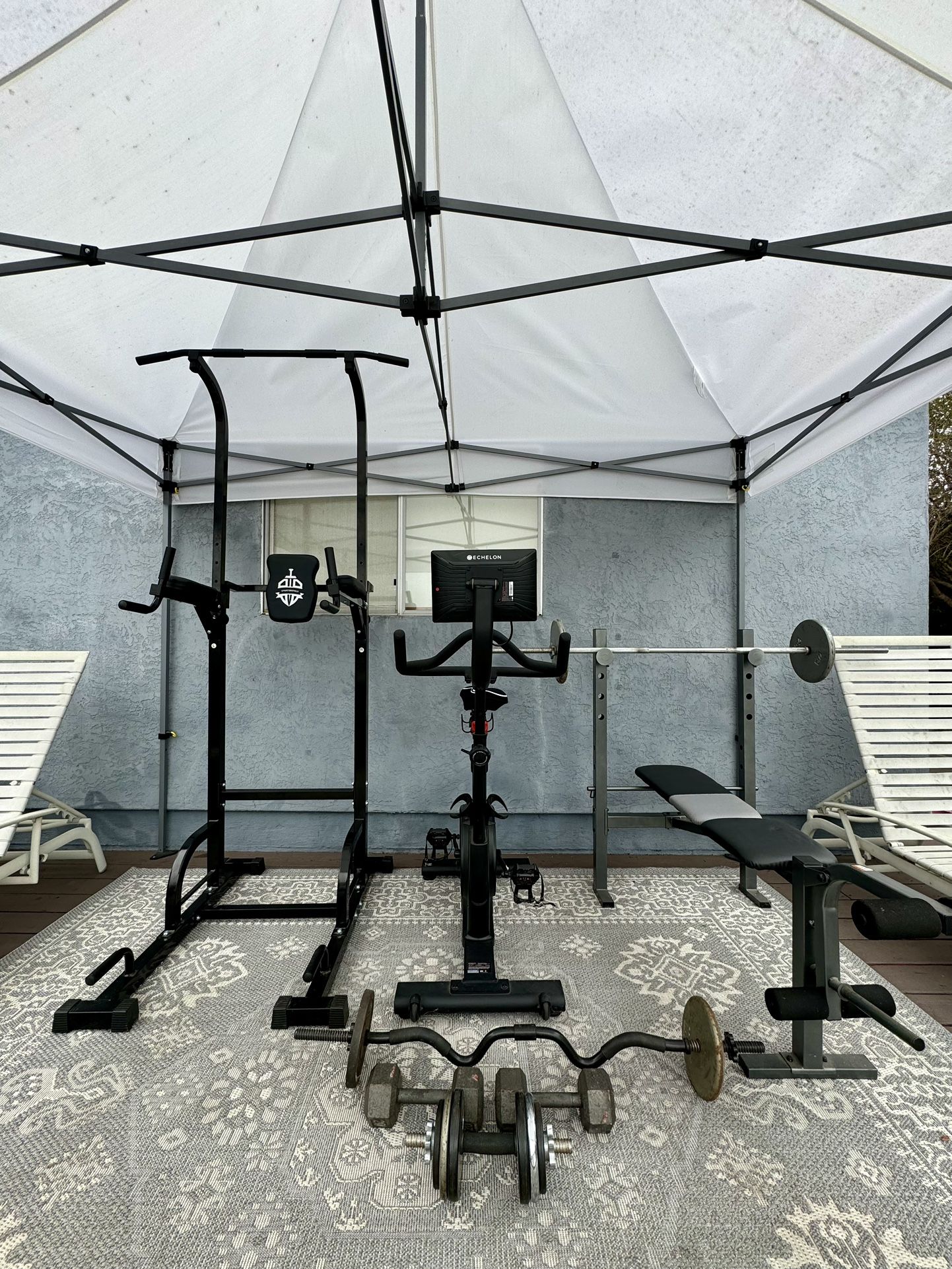 Complete Gym Set