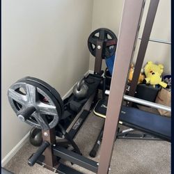 Gym Come With 2 Olympic Bar