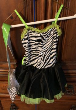 Little Girl’s Dance Costume