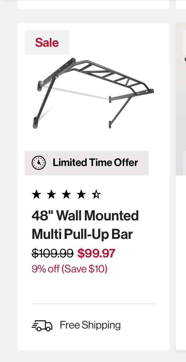 Titan 48in Wall Mounted Pull-up bar
