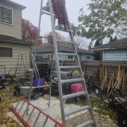 Ladder 10ft