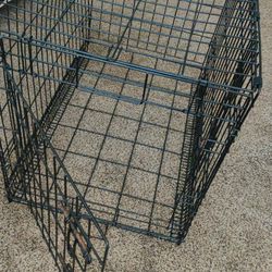 Dog Cage Medium Sized Kennel