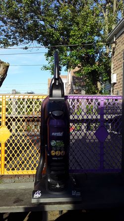 Eureka hair raiser for pets