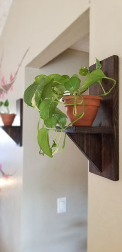 Plant holder / Candle holder