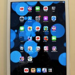 iPad Air 2 (Cracked Screen)