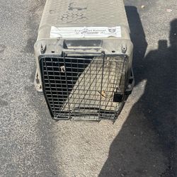 Dog Travel, Pet Kennel