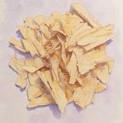 Dehydrated Sourdough start